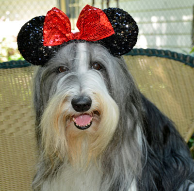 Skye - a Disney Princess wearing her mouse ears